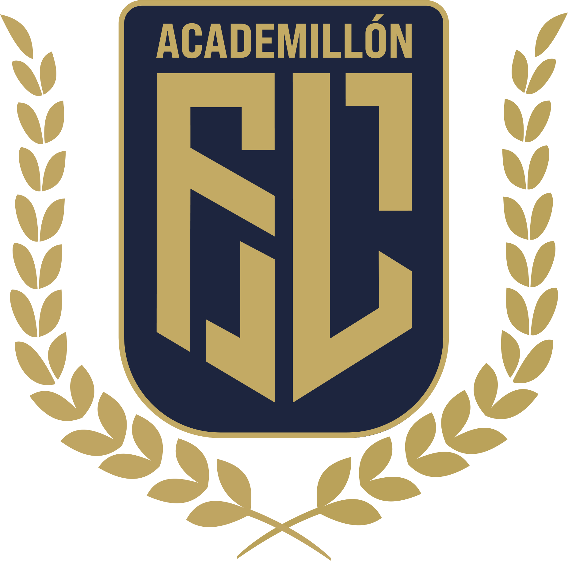 Academillón